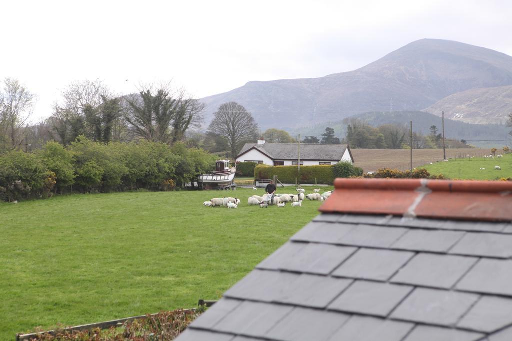 ニューカッスル The Briers Bed & Breakfast 部屋 写真