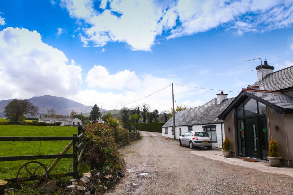 ニューカッスル The Briers Bed & Breakfast エクステリア 写真