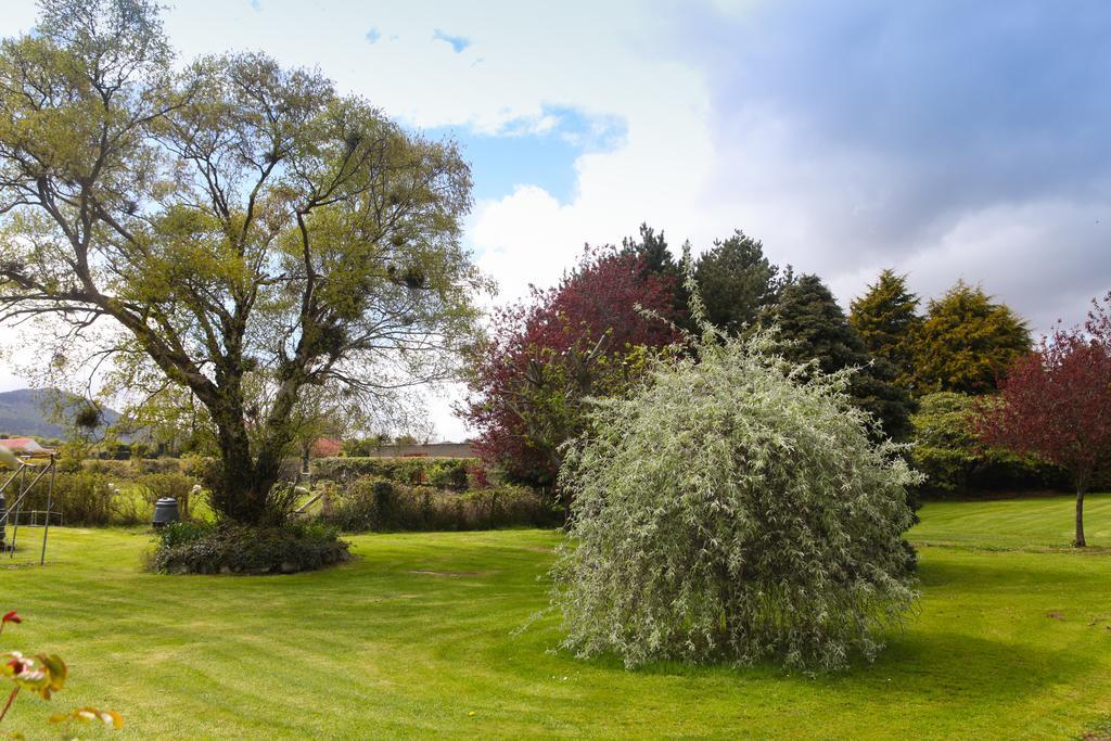 ニューカッスル The Briers Bed & Breakfast エクステリア 写真