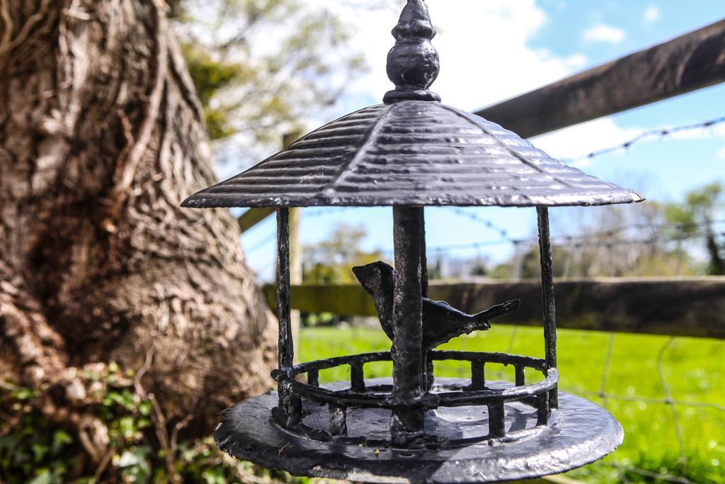 ニューカッスル The Briers Bed & Breakfast エクステリア 写真