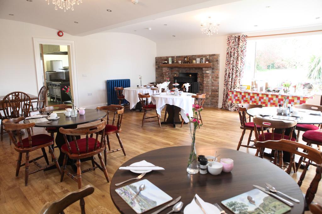 ニューカッスル The Briers Bed & Breakfast エクステリア 写真